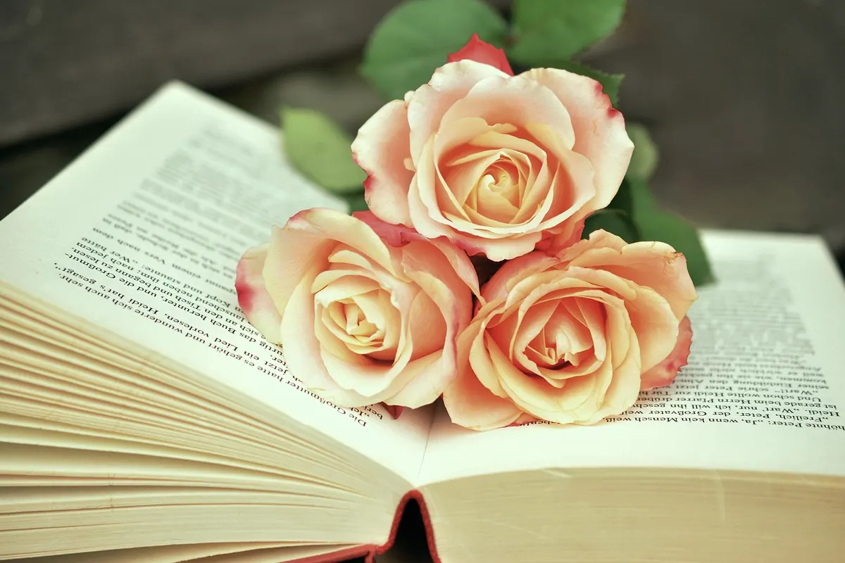 How to Plan a Book Launch Event in the UK: A Practical Guide